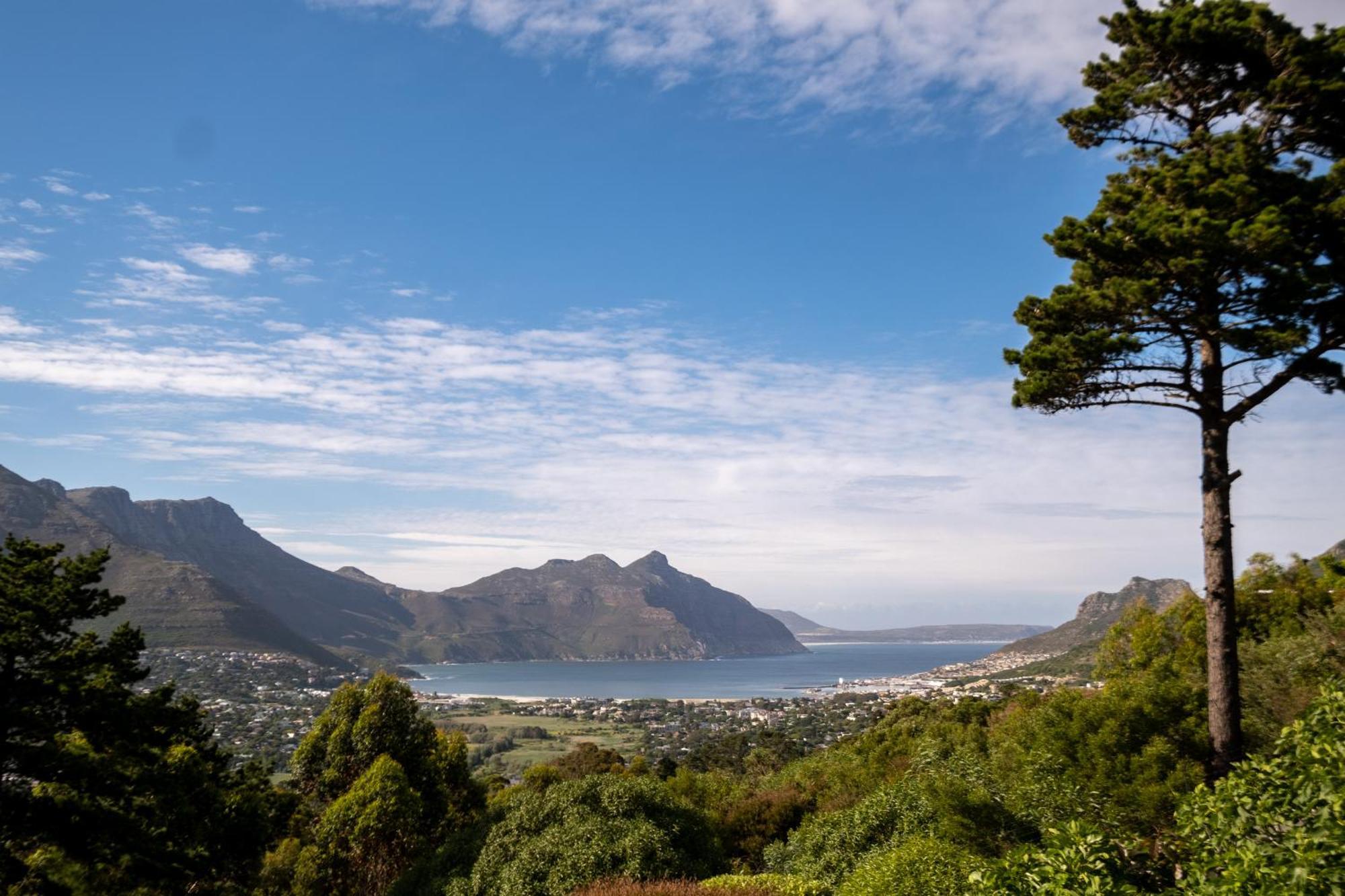 Dreamhouse Guest House Hout Bay Exteriör bild